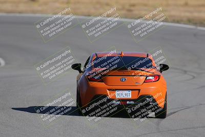 media/Nov-19-2023-Extreme Speed (Sun) [[bd0eec5490]]/Purple/Back Shots/